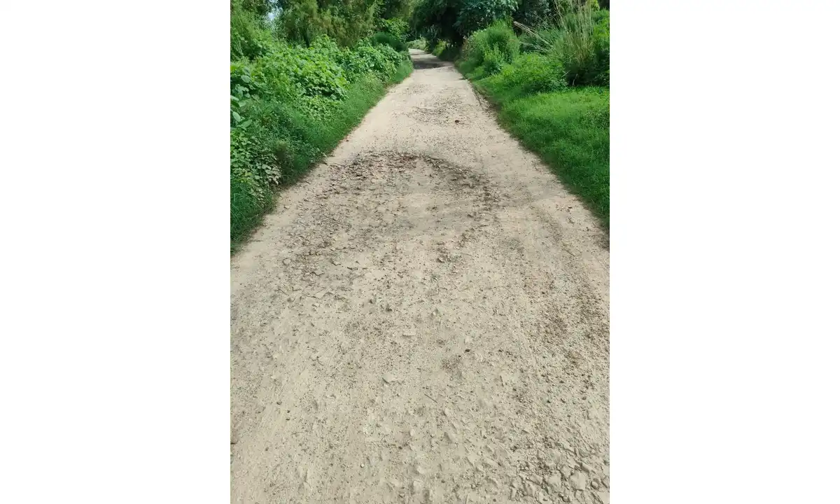 बीरई