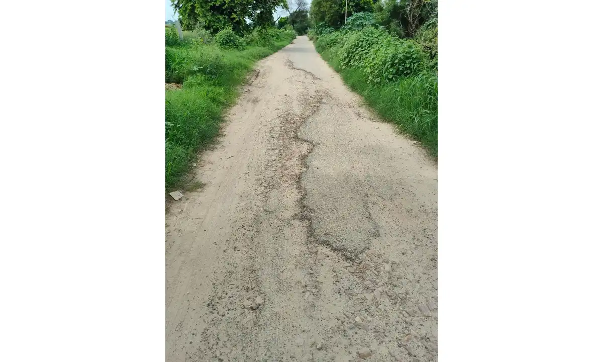 बीरई