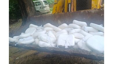 खाद्य सुरक्षा