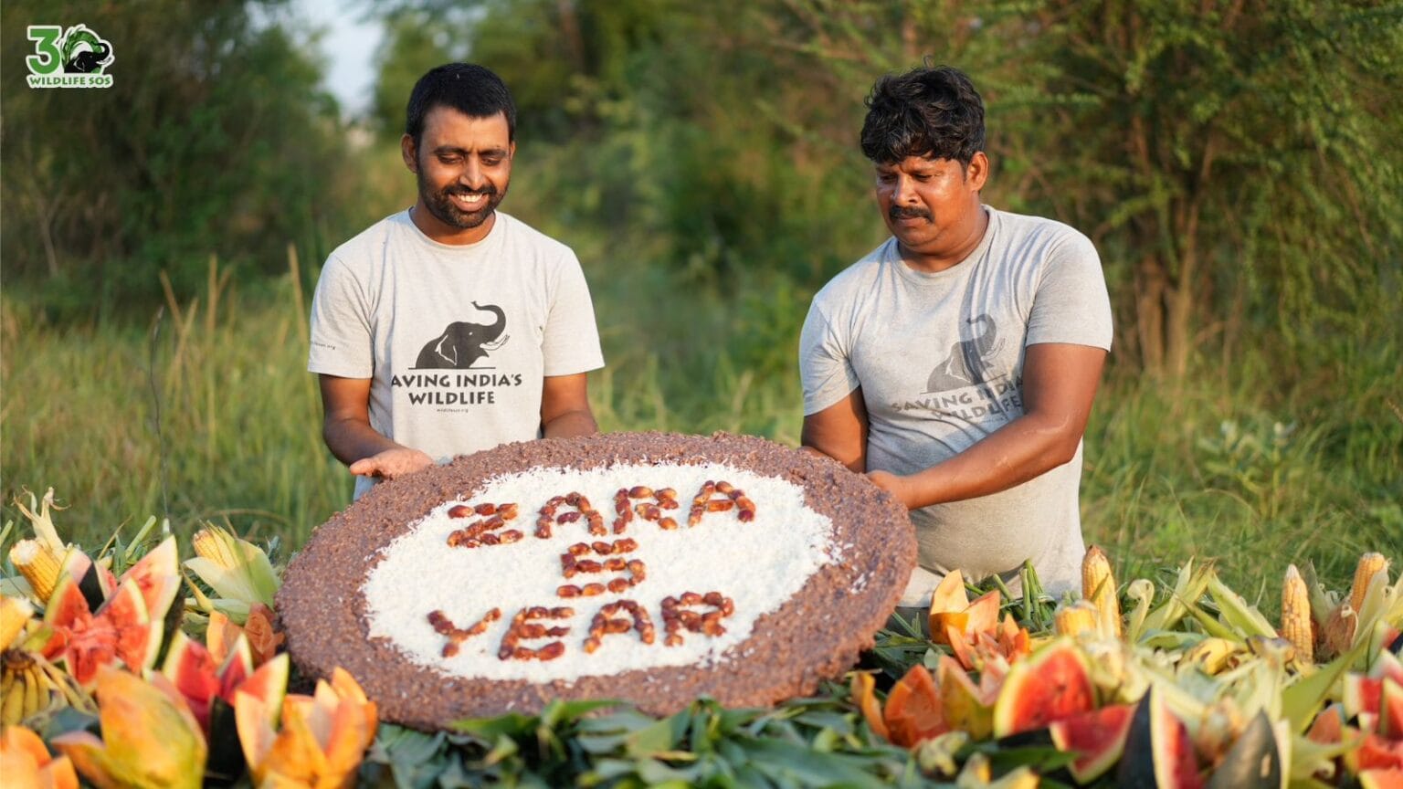 ज़ारा हथिनी की आज़ादी