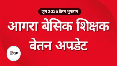 बेसिक