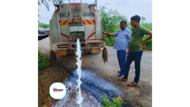 मिलावटी