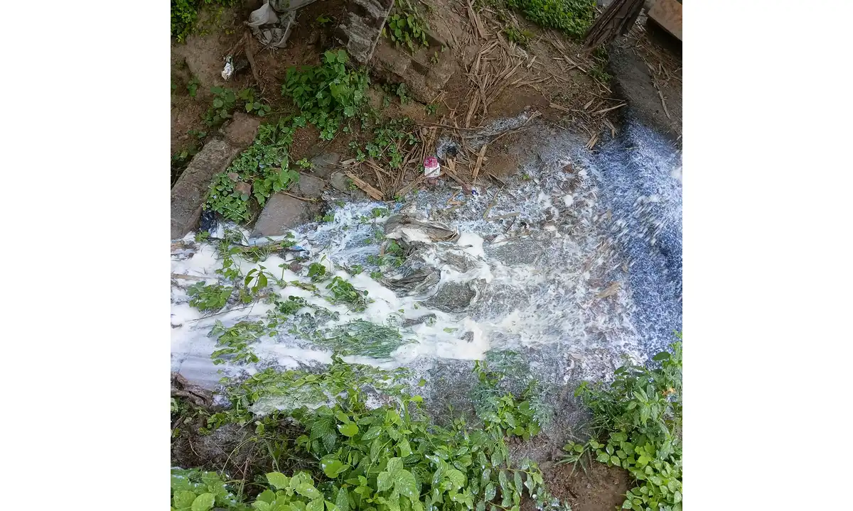 मिलावटी
