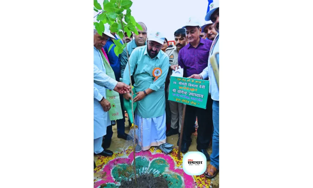 वृक्षारोपण