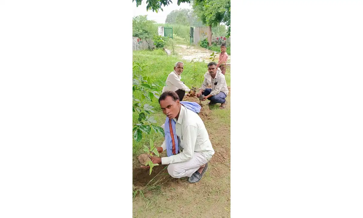 वृक्षारोपण
