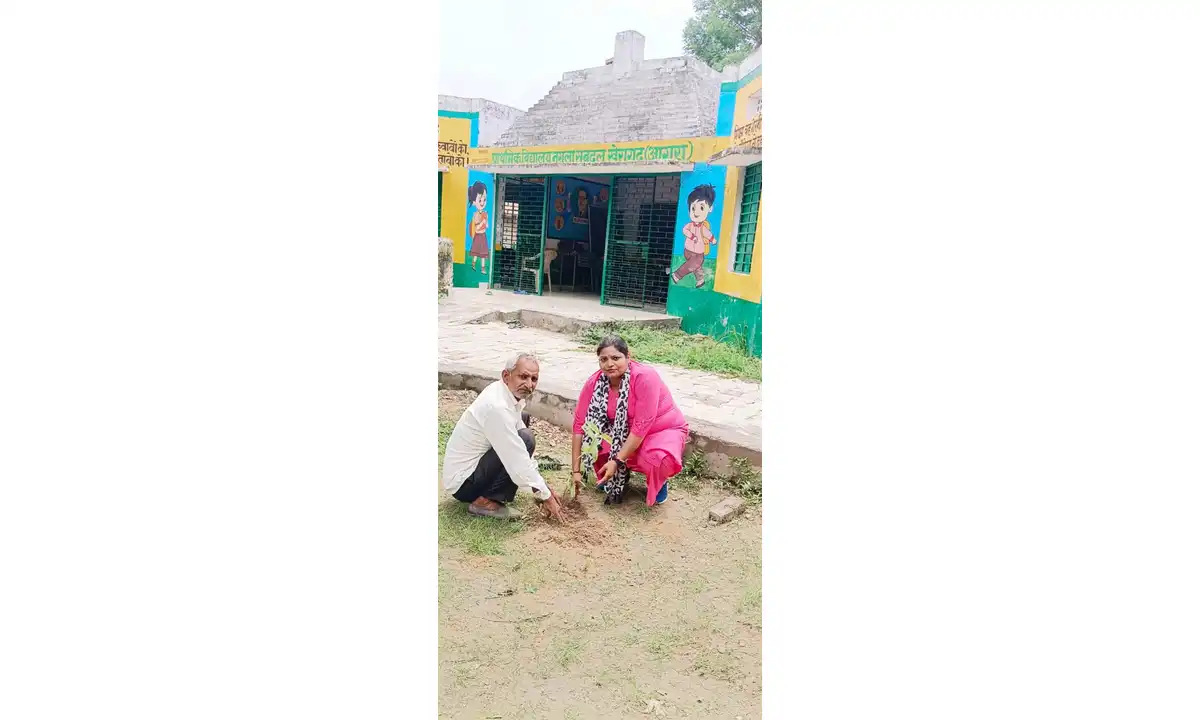 वृक्षारोपण महा अभियान 2025