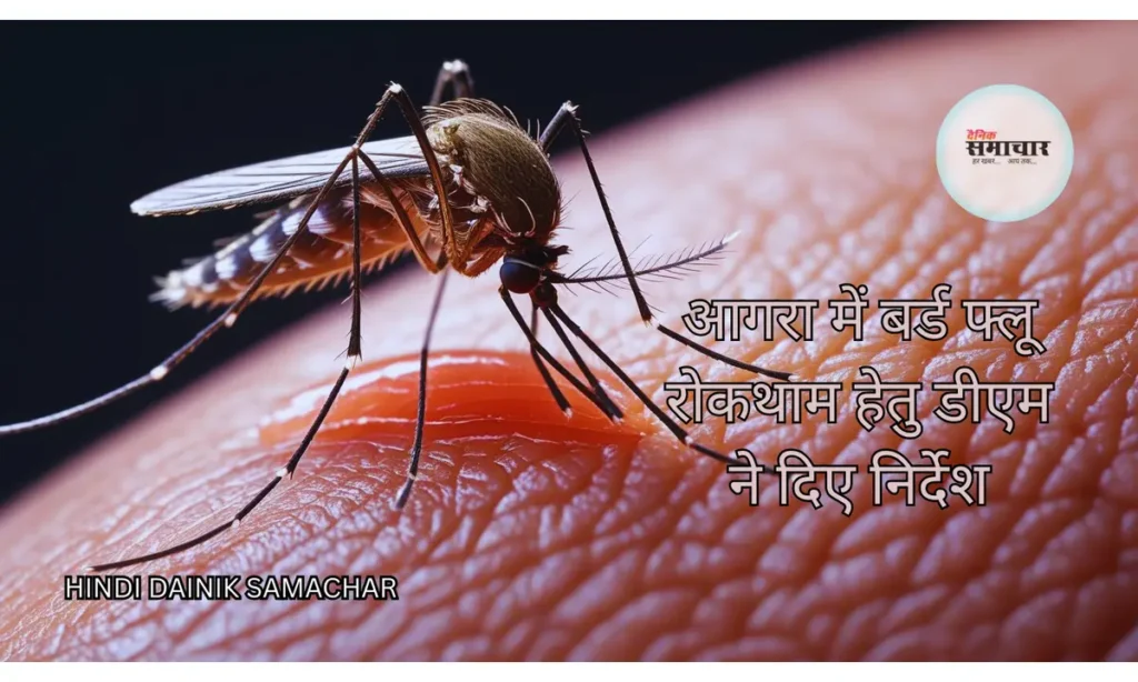 बर्ड फ्लू, मलेरिया, डेंगू और चिकनगुनिया
