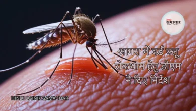 बर्ड फ्लू, मलेरिया, डेंगू और चिकनगुनिया