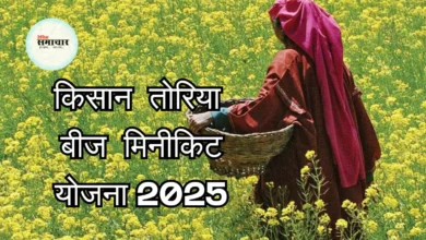किसान, तोरिया बीज मिनीकिट, योजना 2025