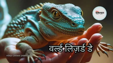 वर्ल्ड लिज़र्ड डे, मॉनिटर लिज़र्ड