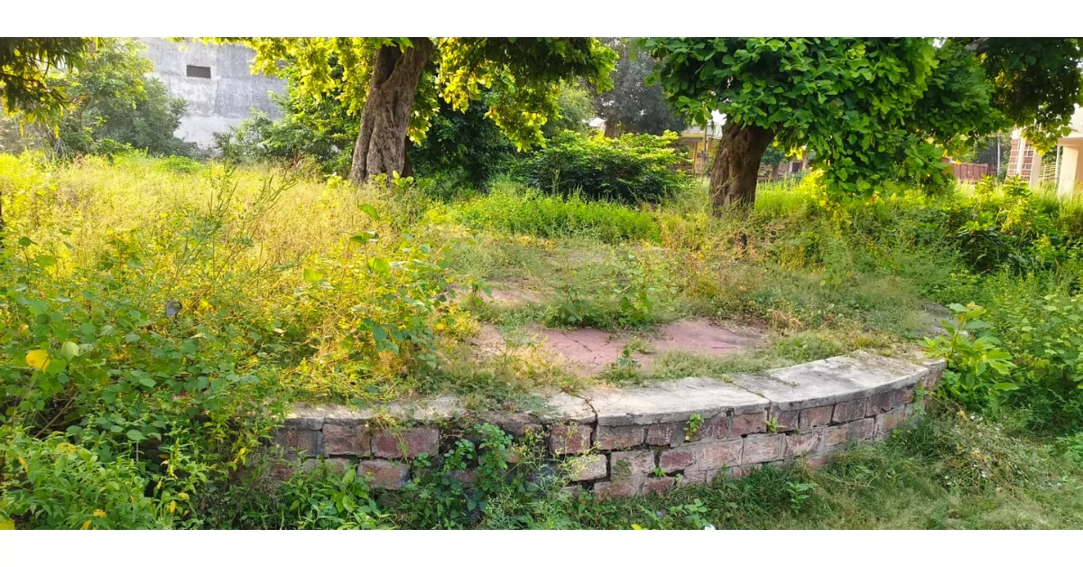 प्रधानमंत्री नरेंद्र मोदी जन्मदिन 2025, मोदी 75वां जन्मदिन, खेरागढ़ स्वच्छता अभियान, वृक्षारोपण कार्यक्रम आगरा, भाजपा कार्यकर्ता खेरागढ़, स्वच्छ भारत मिशन, नरेंद्र मोदी बर्थडे सेलिब्रेशन, kheragarh swacchta abhiyan, pm modi birthday celebration news