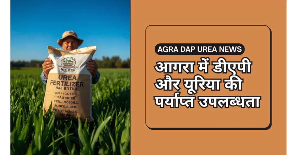 AGRA DAP UREA NEWS, डीएपी उपलब्धता, यूरिया उपलब्ध, आगरा खाद आपूर्ति, किसानों के लिए उर्वरक, DAP NPK Yuria Agra 2025, खाद वितरण आगरा