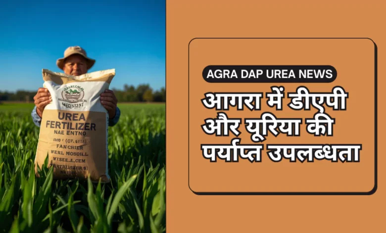 AGRA DAP UREA NEWS, डीएपी उपलब्धता, यूरिया उपलब्ध, आगरा खाद आपूर्ति, किसानों के लिए उर्वरक, DAP NPK Yuria Agra 2025, खाद वितरण आगरा