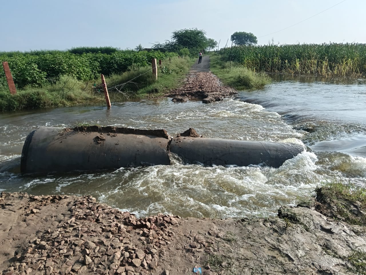 आगरा बारिश खबर, सड़क टूटी विद्यालय मार्ग, स्कूली बच्चों की परेशानी, खेरागढ़ बारिश अपडेट, विद्यालय मार्ग कट गया, रामपुरा विद्यालय सड़क समस्या, आगरा शिक्षा संकट