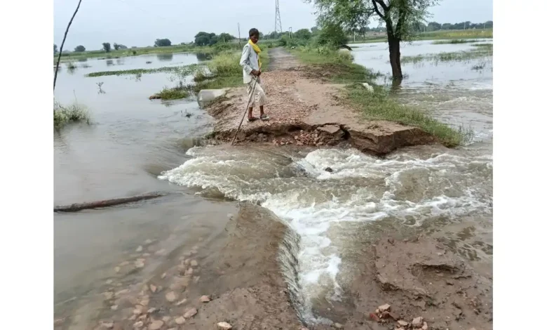 आगरा बारिश खबर, सड़क टूटी विद्यालय मार्ग, स्कूली बच्चों की परेशानी, खेरागढ़ बारिश अपडेट, विद्यालय मार्ग कट गया, रामपुरा विद्यालय सड़क समस्या, आगरा शिक्षा संकट, बारिश से सड़क बंद, प्रशासन से गुहार आगरा