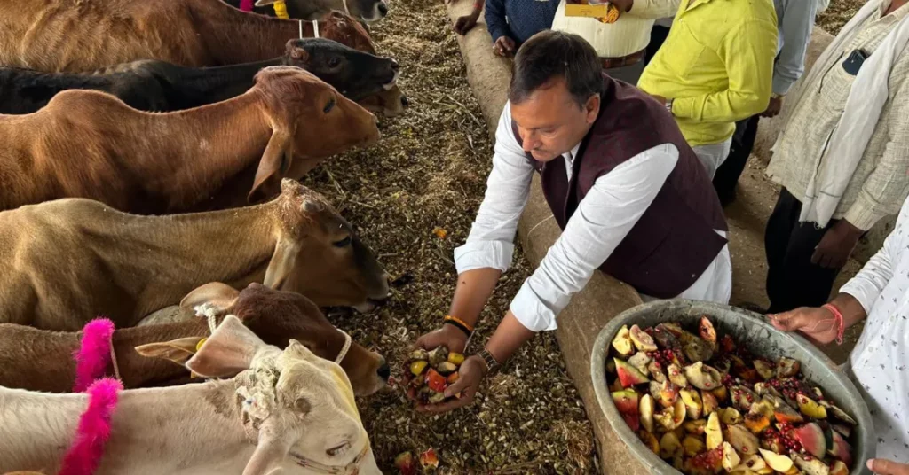 Kheragarh Breaking: गोपाष्टमी पर खेरागढ़ में आस्था का उत्सव — चेयरमैन सुधीर गर्ग गुड्डू ने कान्हा गौशाला में किया भव्य गौपूजन गोपाष्टमी पर खेरागढ़ में आस्था का उत्सव