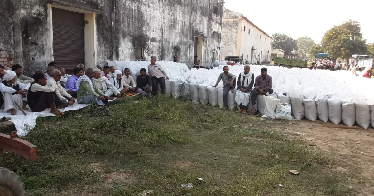 बाजरा एमएसपी आगरा, बाजरा क्रय विशेष अभियान, सीमांत किसान लाभ, जिलाधिकारी अरविंद मल्लप्पा बंगारी निर्देश, किसान समर्थन मूल्य आगरा, खरीफ क्रय केन्द्र आगरा, किसान पोर्टल पंजीकरण बाजरा, कृषि विभाग आगरा समाचार