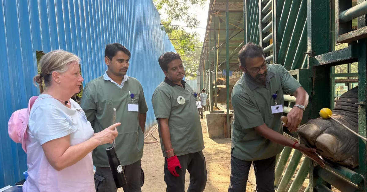 वाइल्डलाइफ एसओएस ने आयोजित की भारत की पहली ग्लोबल एलीफैंट मास्टरक्लास