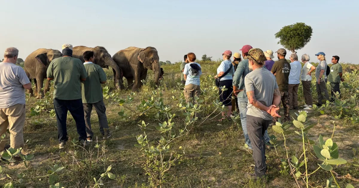 वाइल्डलाइफ एसओएस ने आयोजित की भारत की पहली ग्लोबल एलीफैंट मास्टरक्लास