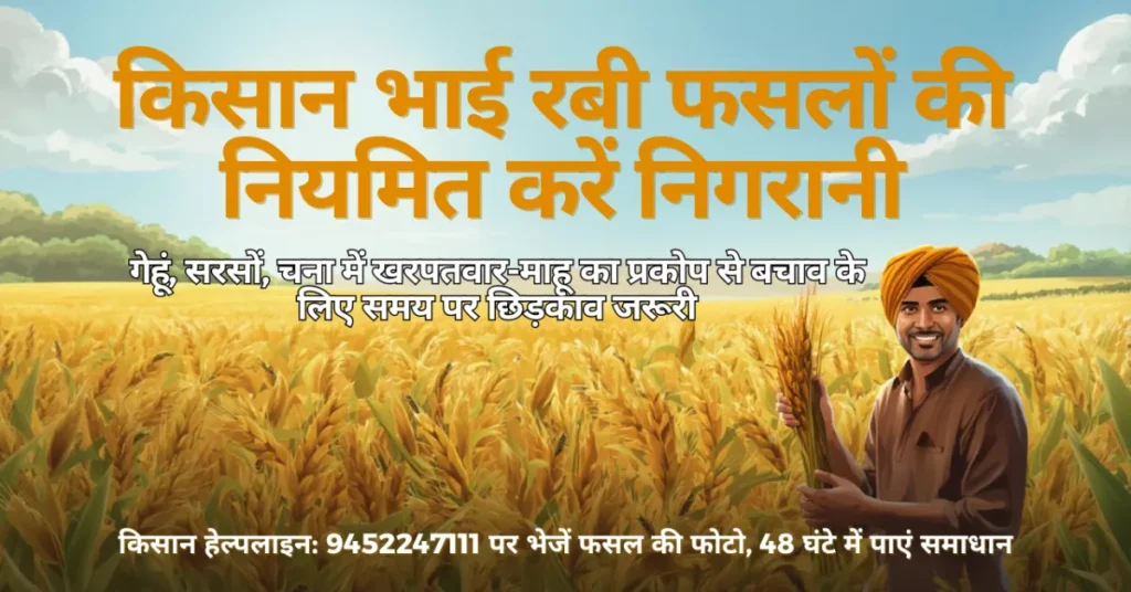 Agra Breaking News: रबी फसल सुरक्षा सलाह: गेहूं-चना-सरसों में कीट नियंत्रण जरूरी रबी फसल कीट नियंत्रण, गेहूं खरपतवार माहू नियंत्रण, चना फली बंधक कीट, सरसों माहू प्रकोप, आलू झुलसा रोग उपचार, NPS कीट निगरानी प्रणाली, किसान हेल्पलाइन 9452247111, कृषि विभाग आगरा सलाह