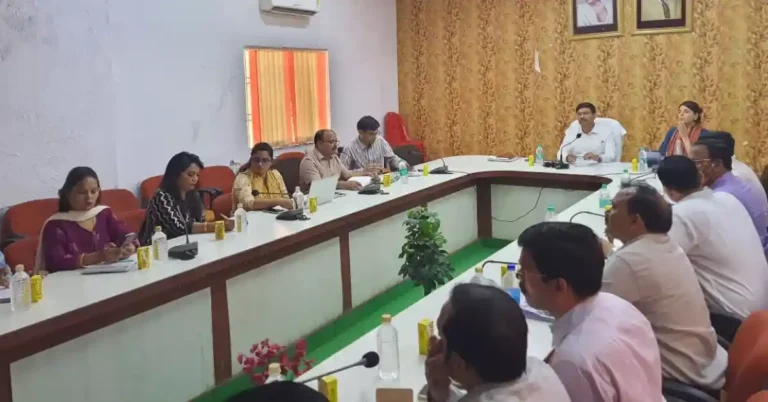 डीएम मनीष बंसल की डीटीएफ बैठक