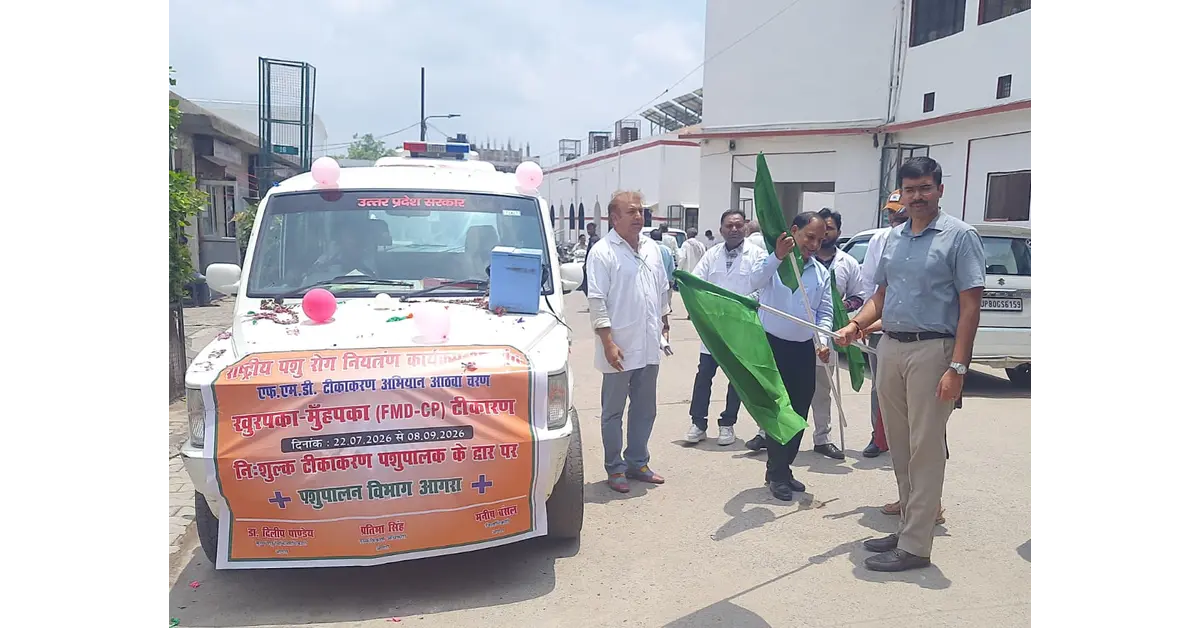 आगरा न्यूज, Agra News, खुरपका मुँहपका रोग, एफएमडी टीकाकरण अभियान, FMD Vaccination, पशुपालन विभाग आगरा, पशु टीकाकरण अभियान, मनीष बंसल, जिलाधिकारी आगरा, प्रतिभा सिंह, मुख्य विकास अधिकारी आगरा, डॉ डीके पाण्डेय, डॉ विपिन कुमार, मुफ्त पशु टीकाकरण, पशुधन सुरक्षा, डेयरी किसान, पशुपालक समाचार, पशु स्वास्थ्य, आगरा पशुपालन विभाग, गांव-गांव टीकाकरण, 49 टीमें, 6.22 लाख पशु, Foot and Mouth Disease, Livestock Vaccination, Animal Health Campaign, Uttar Pradesh Animal Husbandry, Google Discover Hindi News, हिंदी दैनिक समाचार